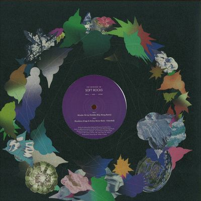 Soft Rocks - Mirador De Las Estrellas / Slowdown ESP008c (12") (Mint (M))